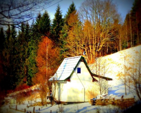 Dziewięćsił-domek w górach Duszniki-Zdrój